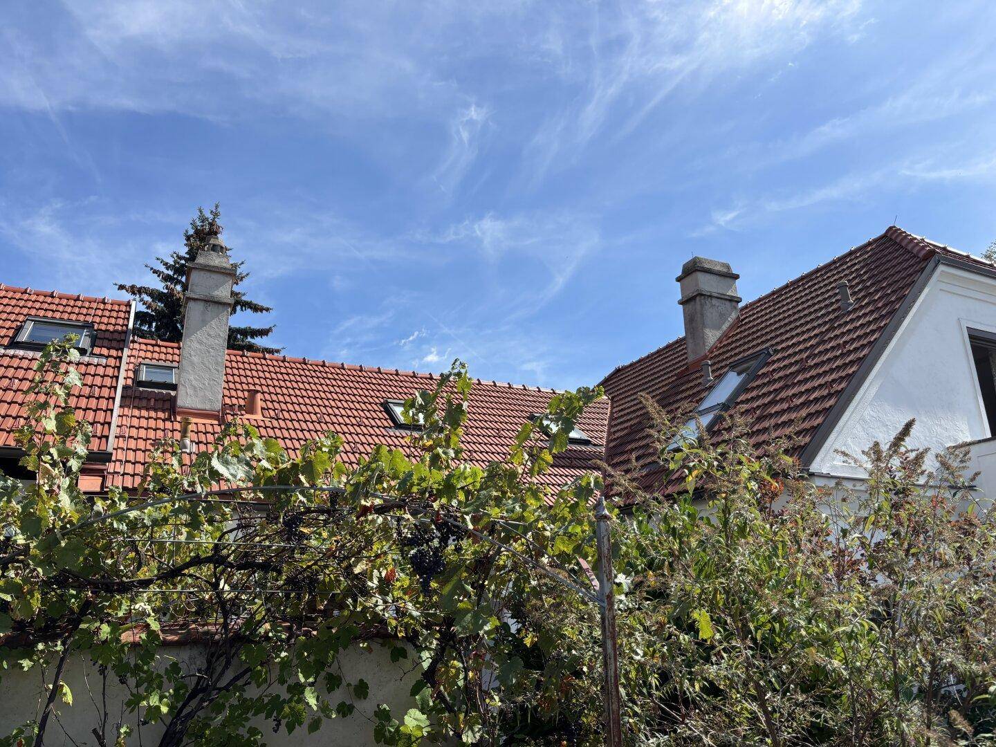 Rotes Ziegeldach mit Dachfenstern und Schornsteinen, umgeben von üppigem Grün.