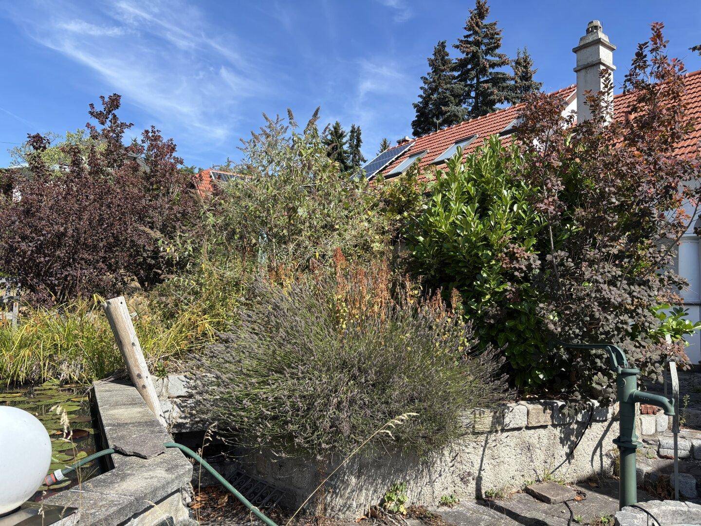 Üppiger Gartenbereich mit vielfältiger Bepflanzung und einem kleinen Teich mit Wasserpflanzen.