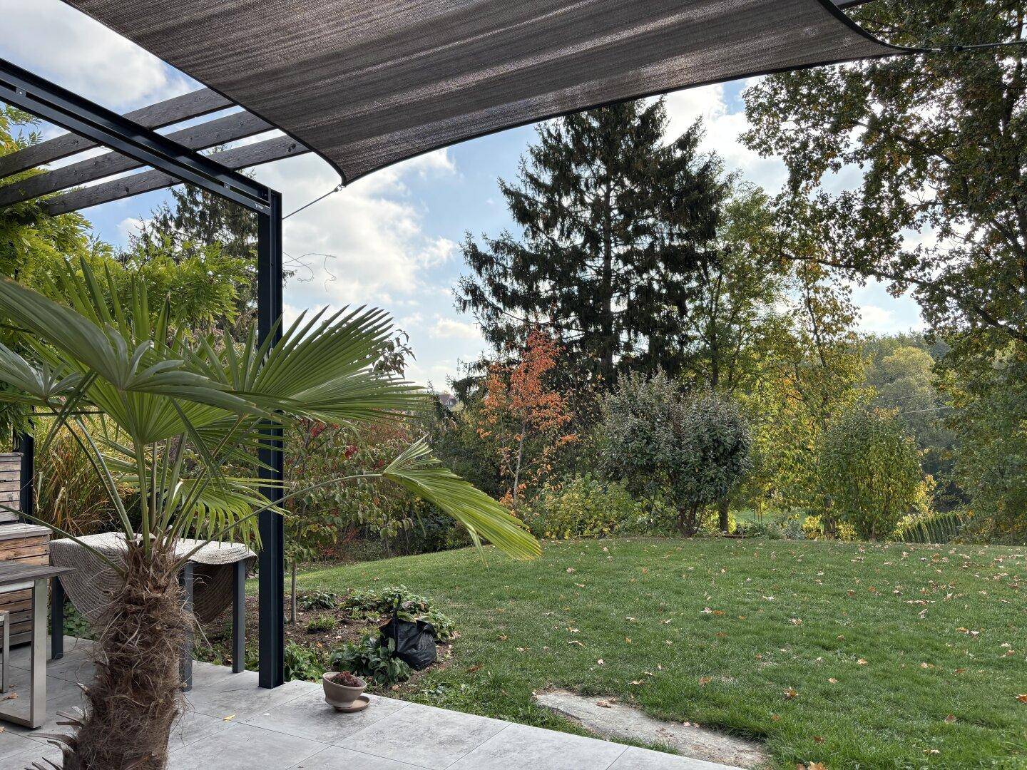 Gemütliche Terrasse mit Beschattung, Blick ins Grüne und einer Palme als dekoratives Element.