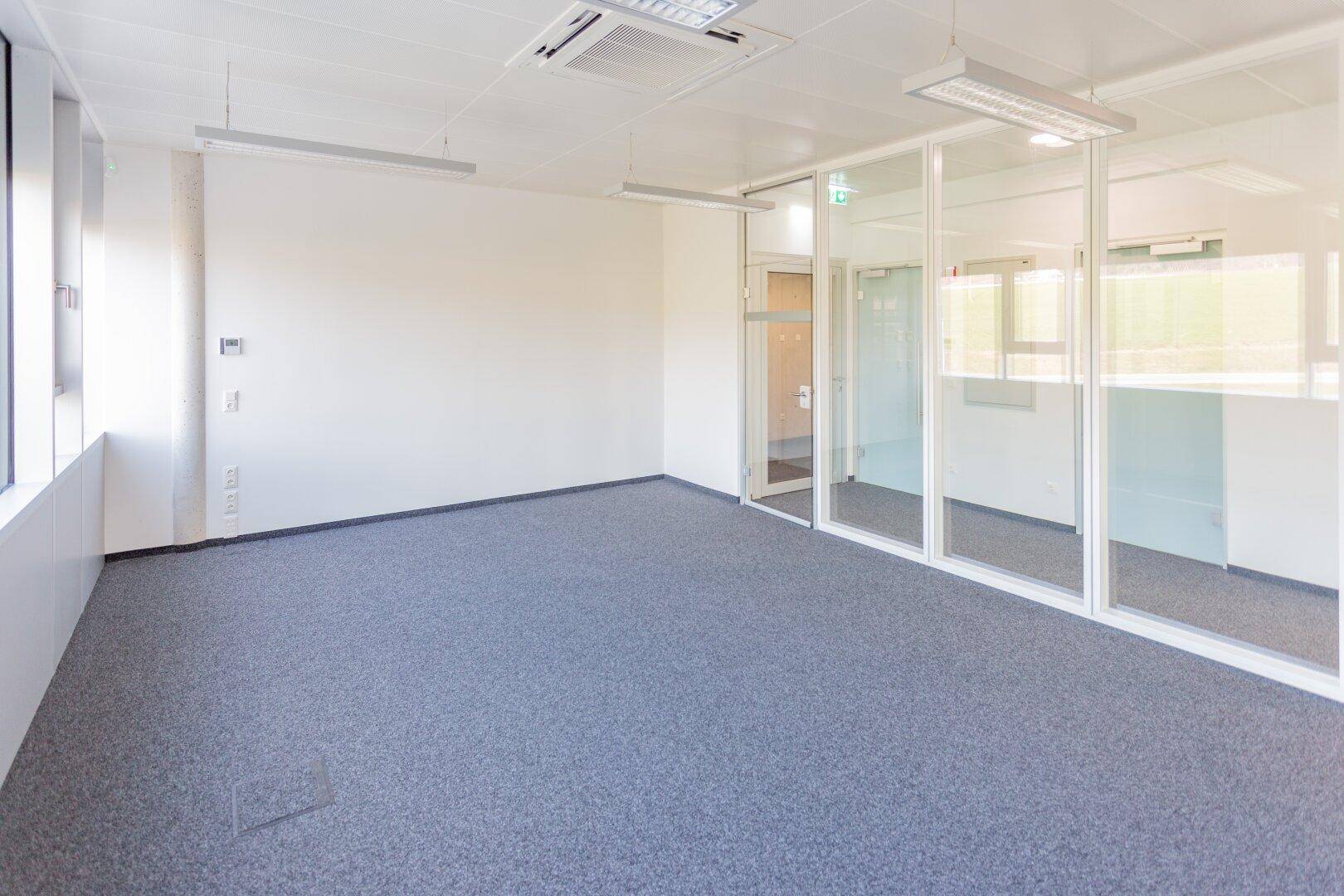 Helles und geräumiges Büro mit großen Fenstern, Teppichboden und moderner Deckenbeleuchtung.