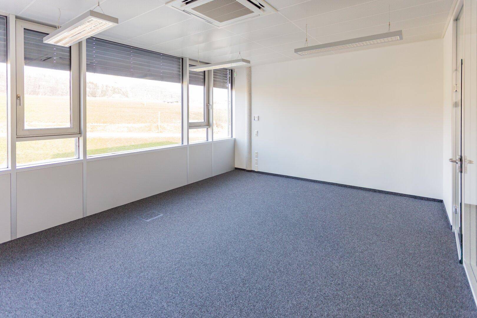Leeres Büro mit Teppichboden, weißen Wänden und großen Fenstern mit Blick ins Grüne.