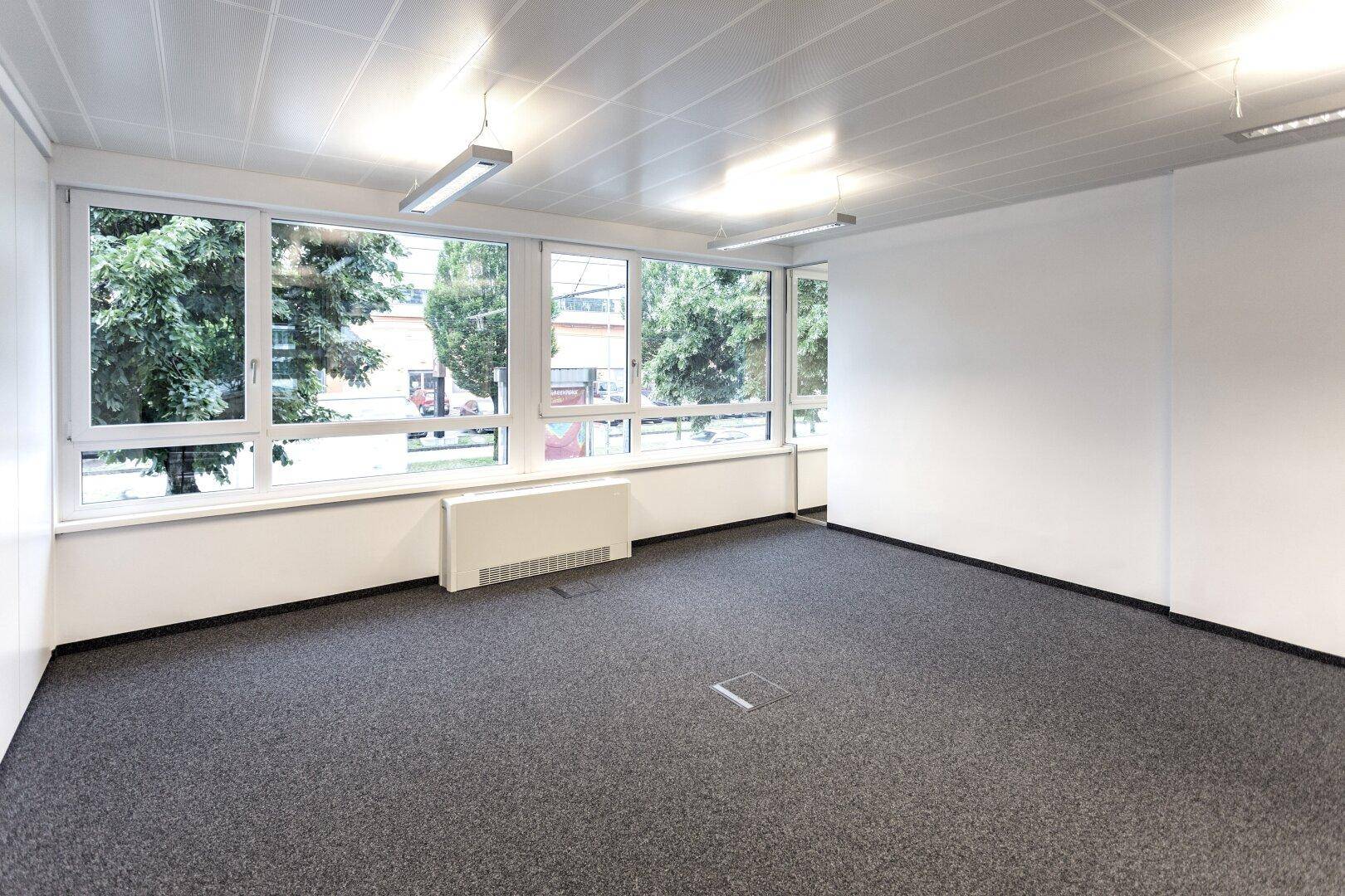Helles Büro mit Teppichboden und großen Fenstern, die einen Blick auf Bäume und die Umgebung bieten.