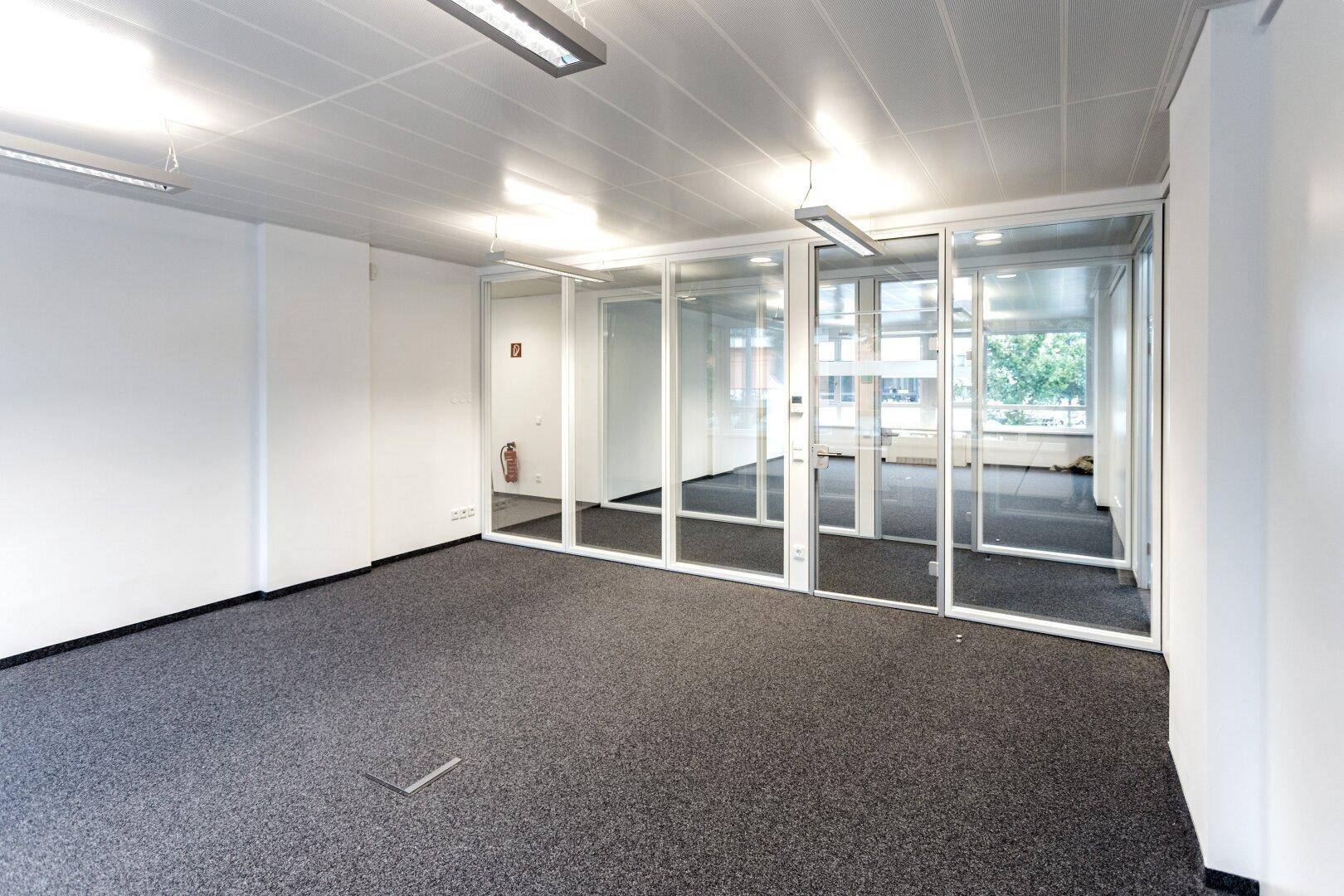Geräumiges Büro mit Teppichboden und Glaswänden, das eine flexible Raumgestaltung ermöglicht und viel Licht bietet.