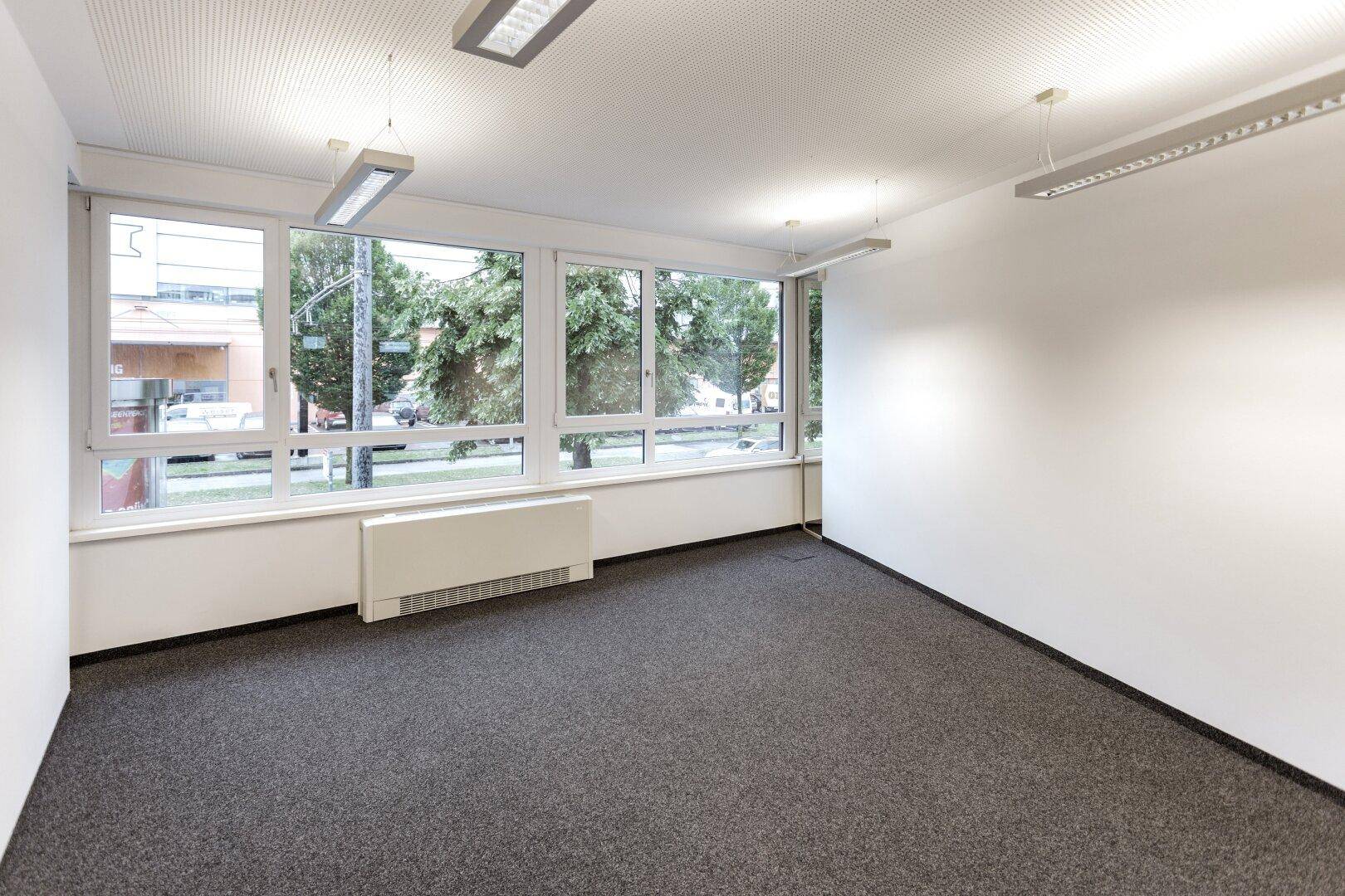 Helles Büro mit Teppichboden und großen Fenstern, die einen angenehmen Ausblick auf die grüne Umgebung bieten.