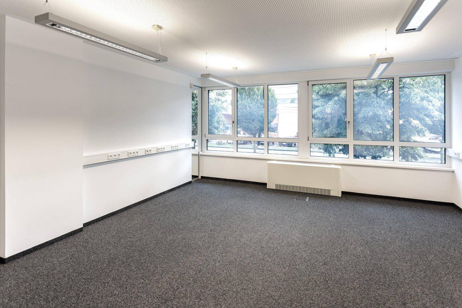 Helles Büro mit Teppichboden und großen Fenstern, die einen weiten Blick auf die Umgebung ermöglichen.