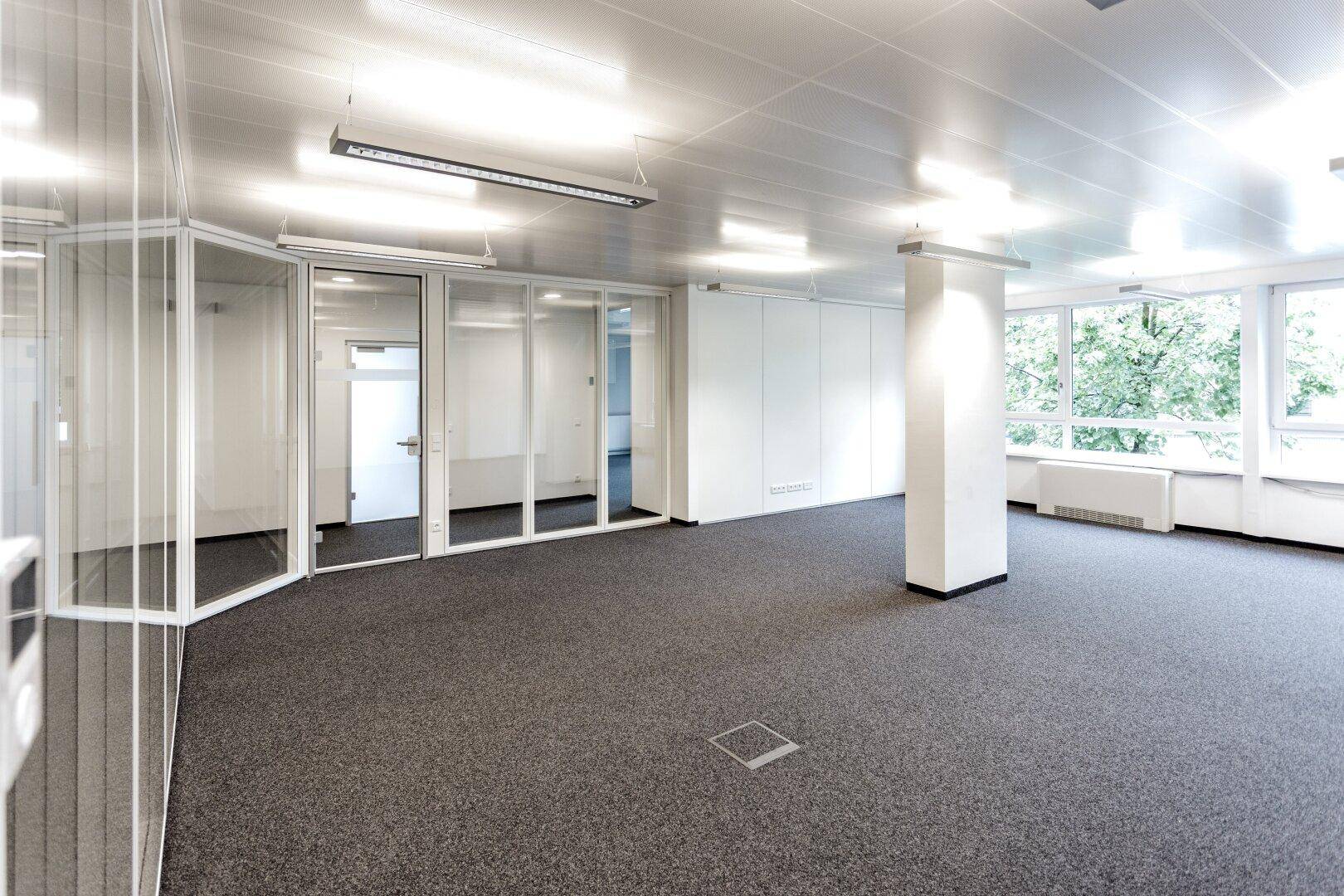 Großes Büro mit Teppichboden, Glaswänden und Fenstern, die viel natürliches Licht hereinlassen.