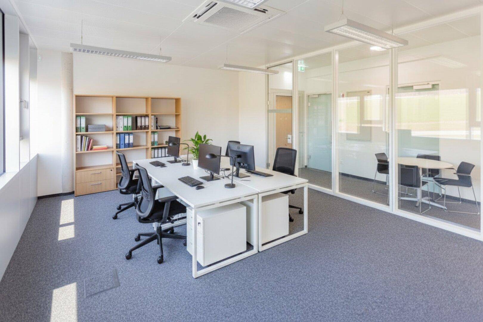 Geräumiges Büro mit mehreren Arbeitsplätzen, Holzregalen und viel Tageslicht durch große Fenster.