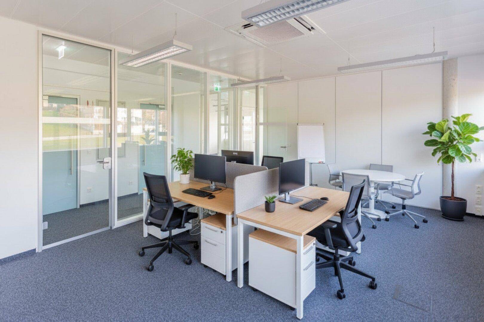 Flexibles Büro mit mehreren Arbeitsplätzen, Glaswänden und Pflanzen für eine angenehme Arbeitsatmosphäre.