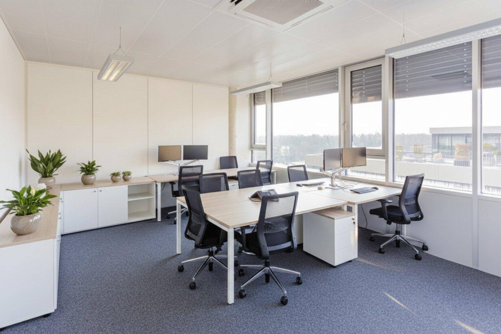 Geräumiges Büro mit mehreren Arbeitsplätzen, Pflanzen und großen Fenstern für viel Tageslicht.