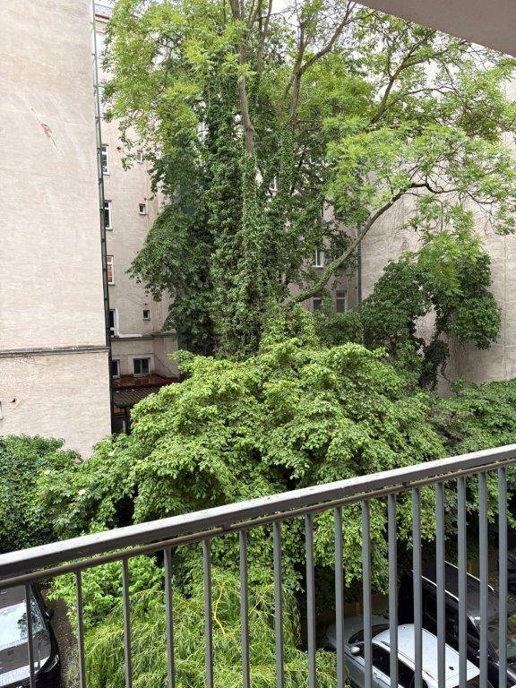 image00002 (5)