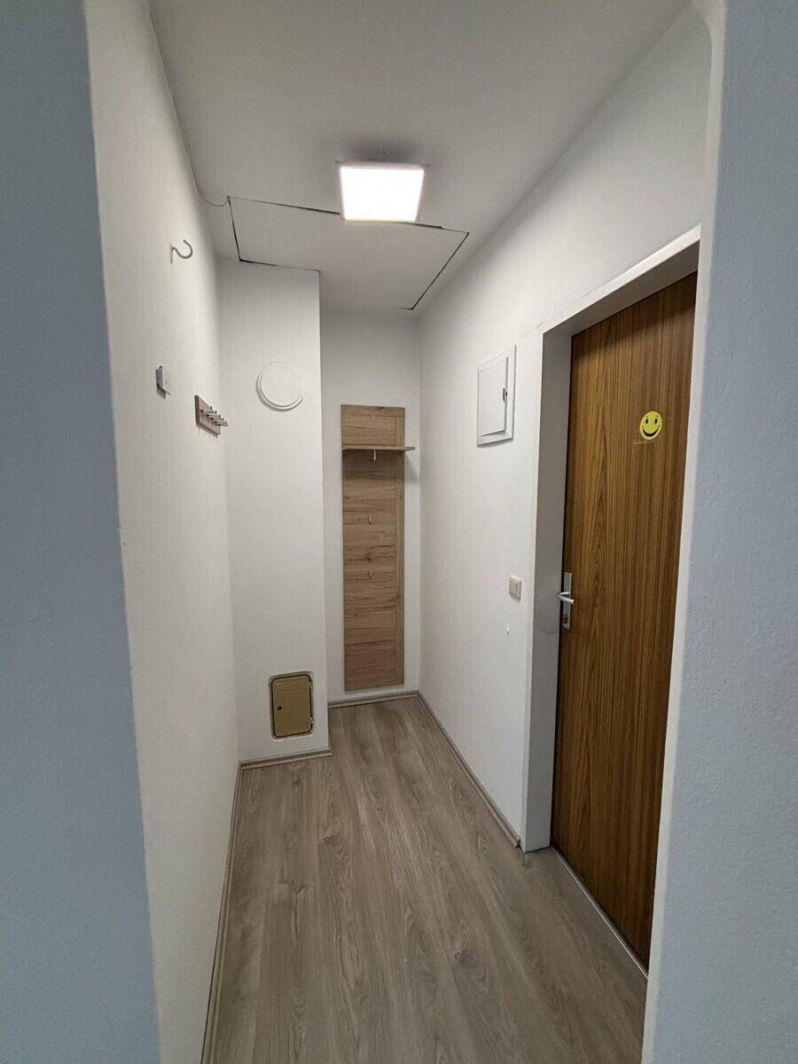 Schmaler Flur mit Laminatboden und einer Holztür, ausgestattet mit einer kleinen Garderobe.