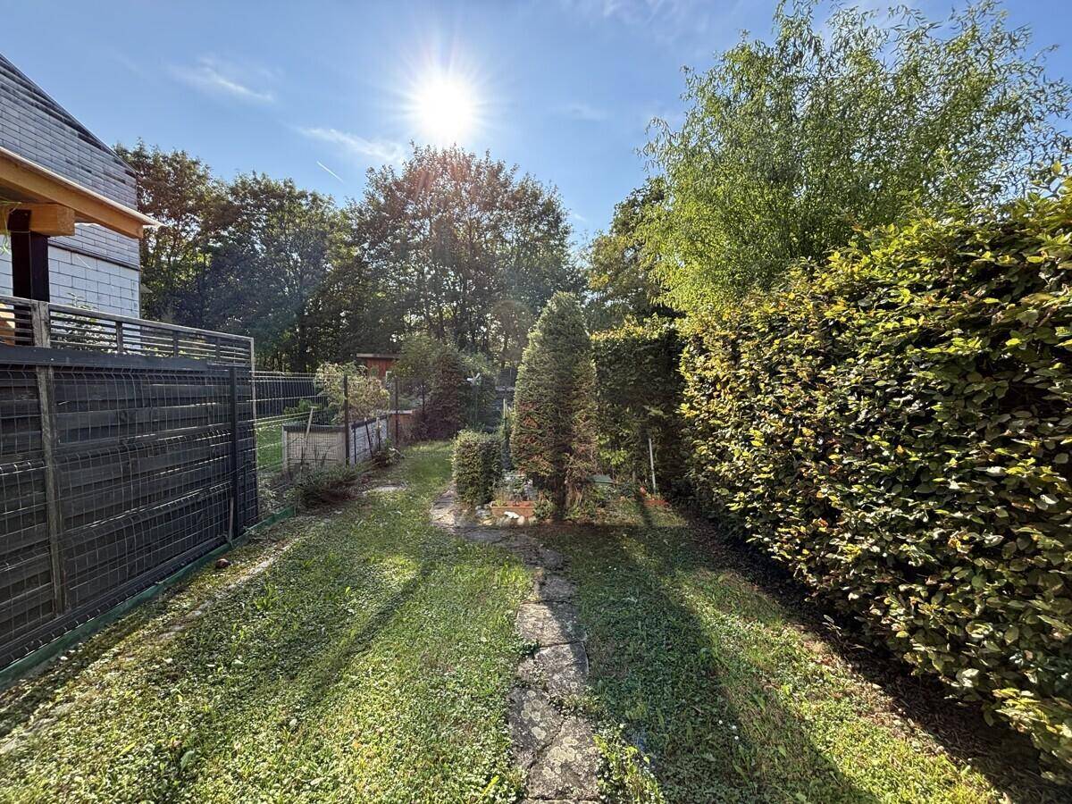 Sonniger Gartenweg mit gepflegter Hecke und hohen Bäumen im Hintergrund, der zu einem privaten Bereich führt.
