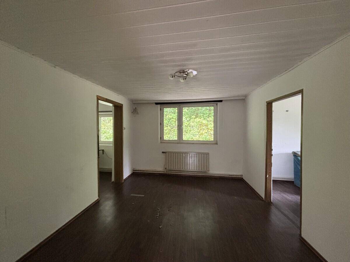 Leeres Zimmer mit dunklem Laminatboden, weißen Wänden und Blick ins Grüne.
