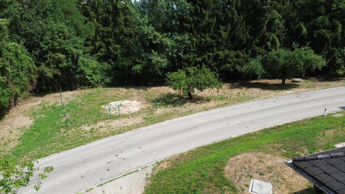Blick auf die ländliche Straße mit Grünflächen und Bäumen, ein Teil des Daches ist sichtbar.