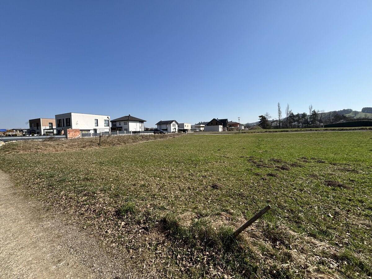 Sonniges, offenes Grundstück mit Blick auf eine Reihe moderner Wohnhäuser unter blauem Himmel.