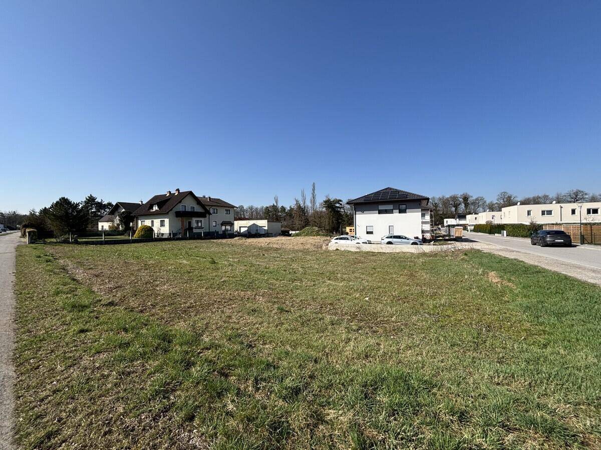 Offenes Baugrundstück mit Grasfläche, umgeben von Wohngebäuden und einer Straße.