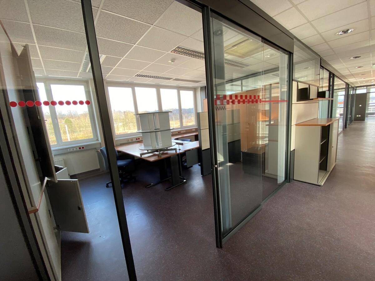 Büro mit Glaswänden, Schreibtischen und Blick ins Grüne, ausgestattet mit modernen Büromöbeln.