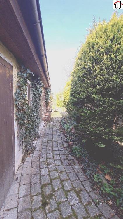 Garten_1