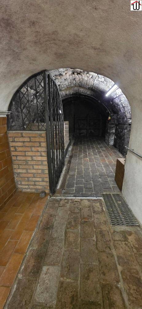 Historischer Kellerbereich mit Ziegelboden, Gewölbedecke und einem schmiedeeisernen Tor.