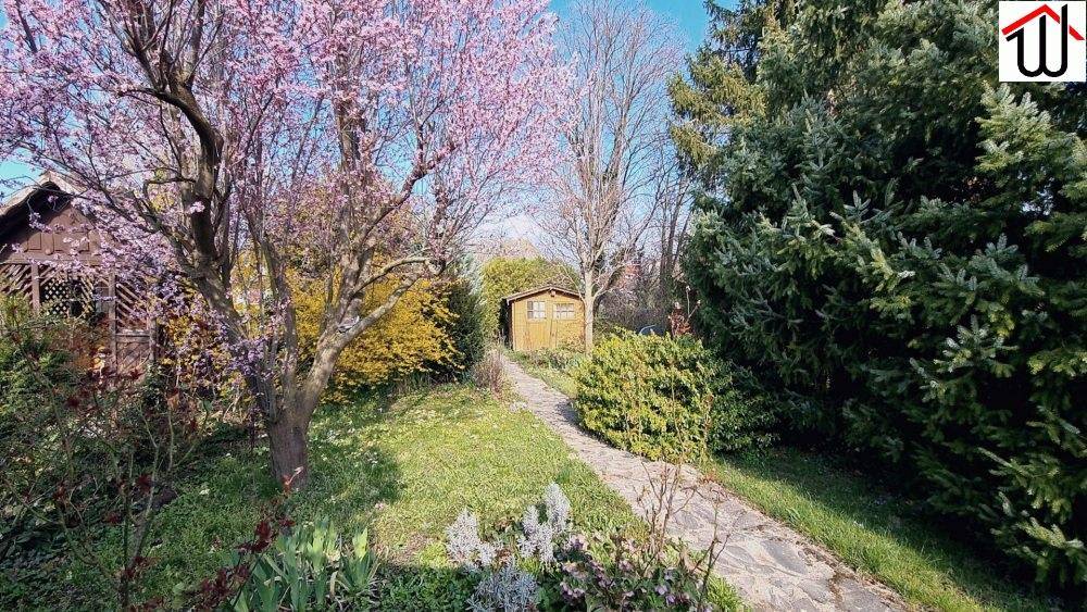 Garten_2