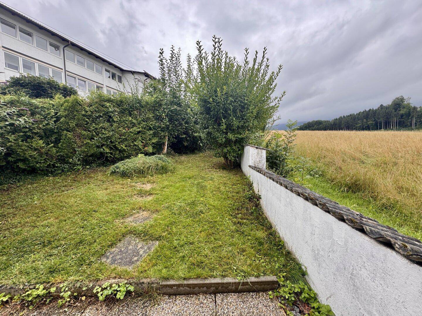 Grüne Gartenfläche mit Rasen, Hecken und einem Feld im Hintergrund, umgeben von Natur.