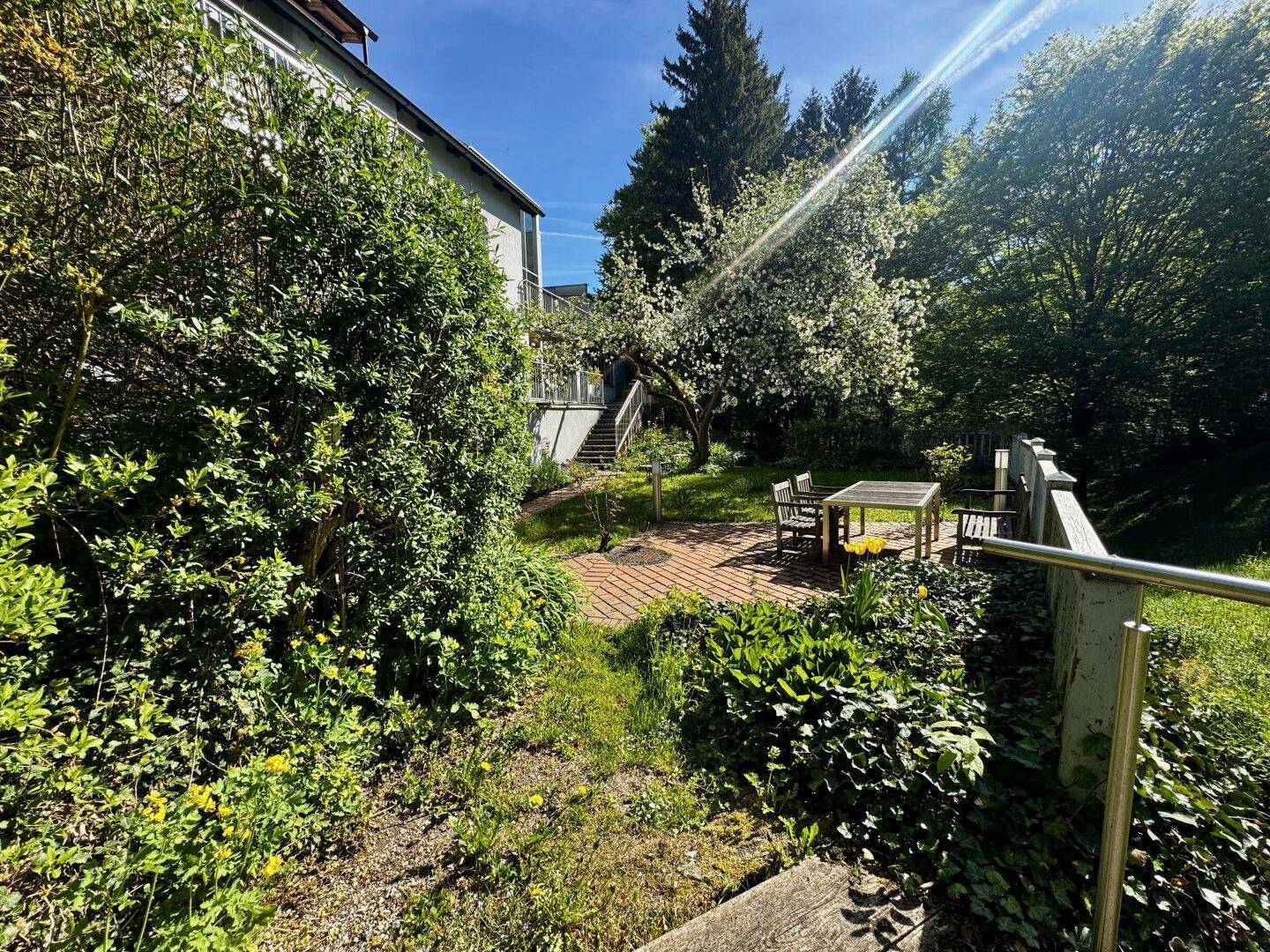 Grüner Gartenweg mit üppiger Vegetation und Blick auf das Haus im Hintergrund.