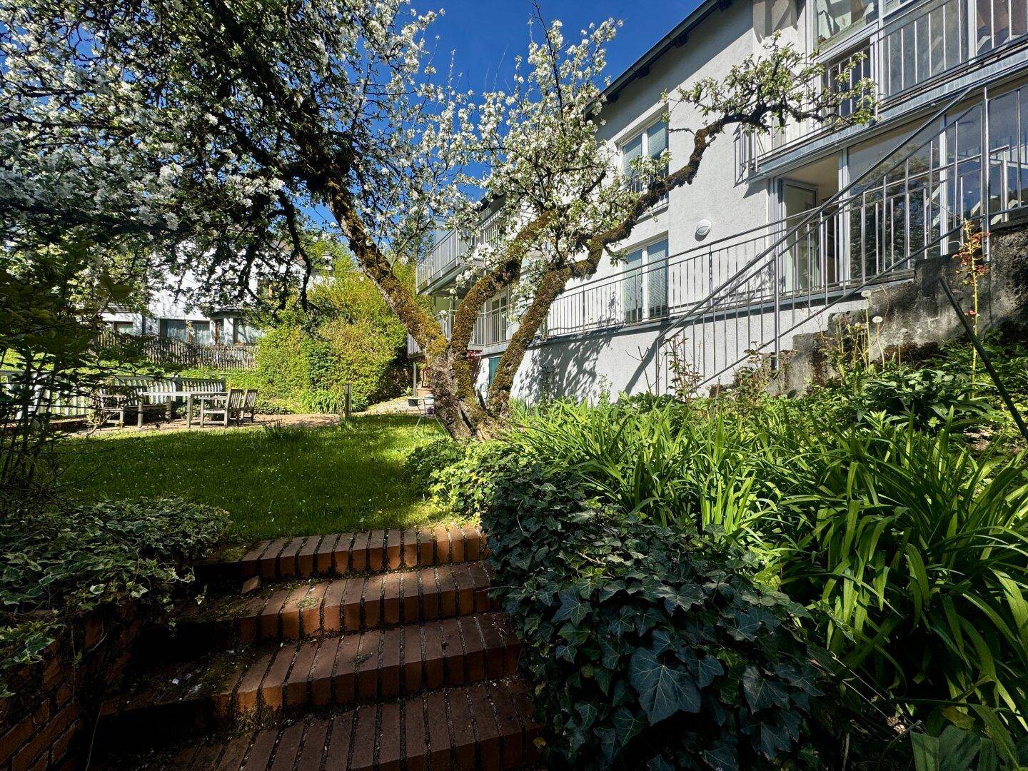 Gepflegter Gartenbereich mit Ziegelstufen und einem blühenden Baum vor dem Gebäude.