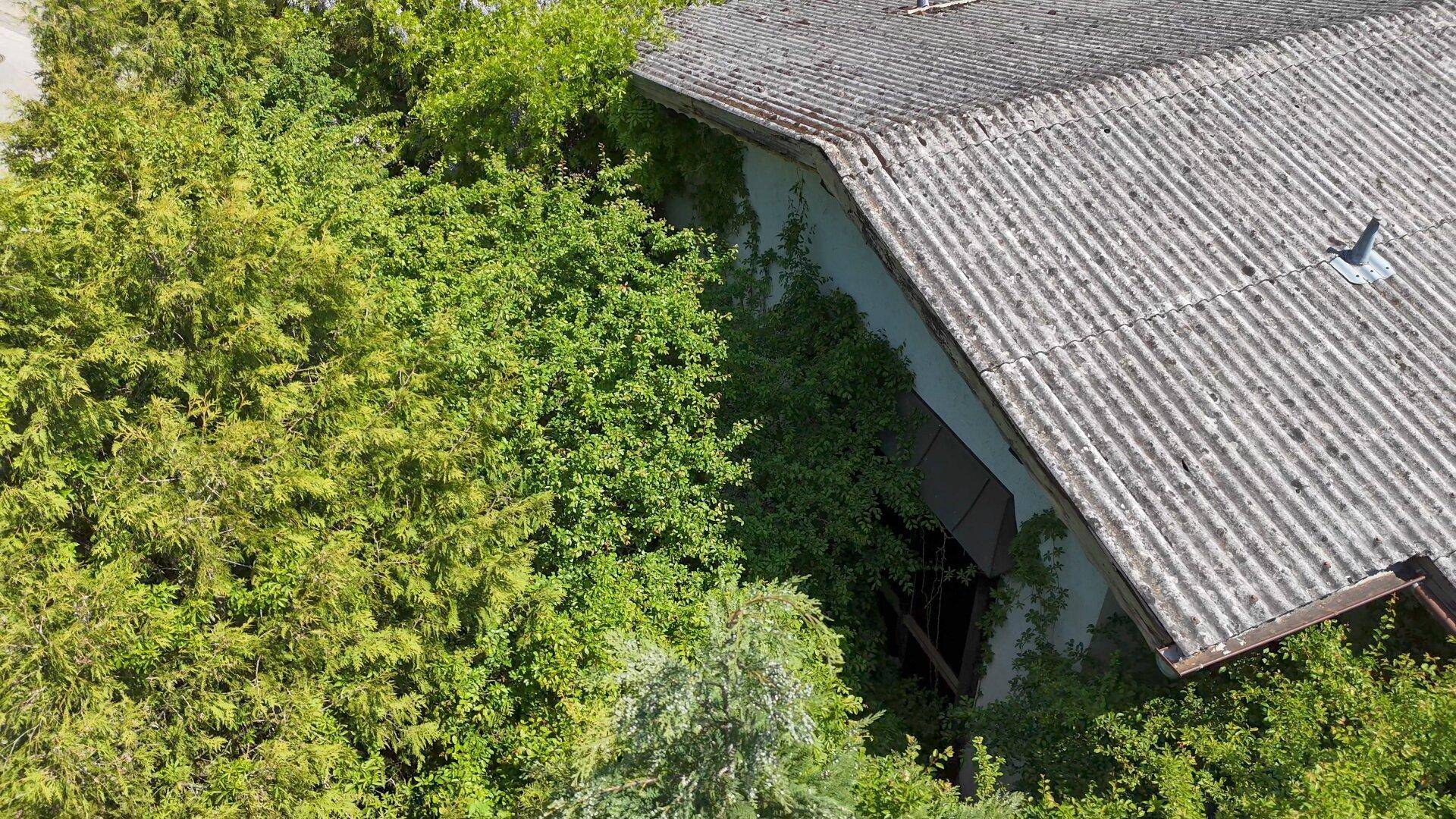 Nahaufnahme des Daches und der Seitenfassade eines Hauses, umgeben von dichtem Grün.