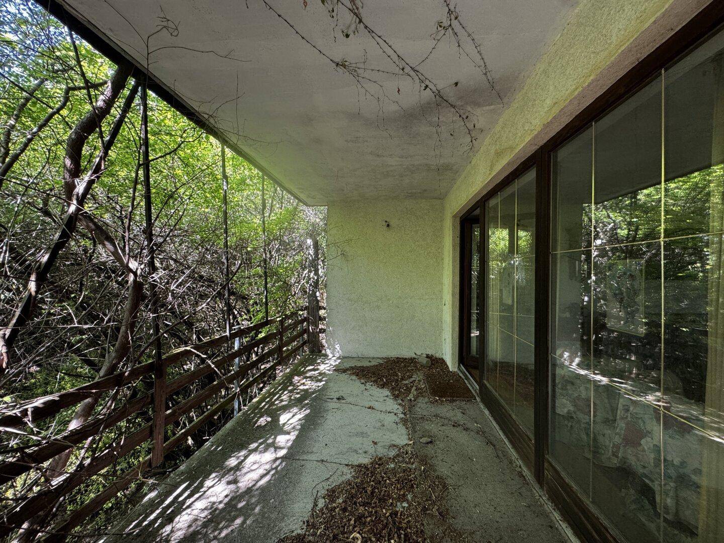 Langer, überwachsener Balkon mit Holzgeländer und großen Fenstern, die zum Innenraum führen.