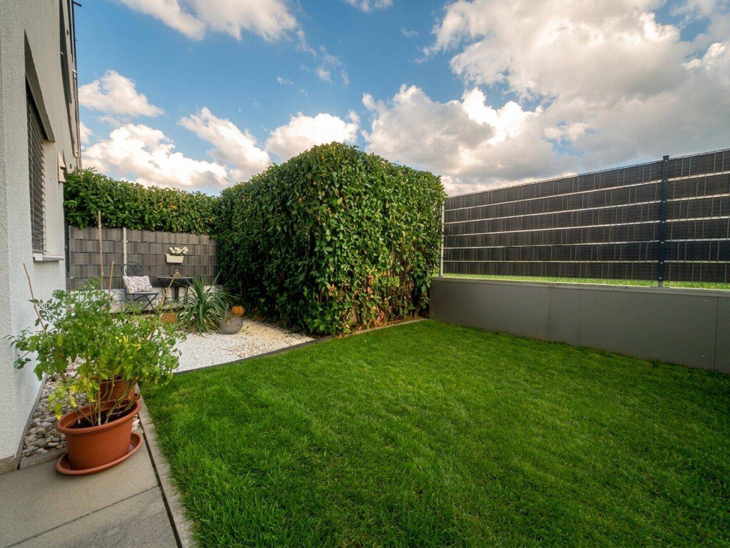 Kleiner, gepflegter Gartenbereich mit Rasen, Hecke und Kiesbeet.