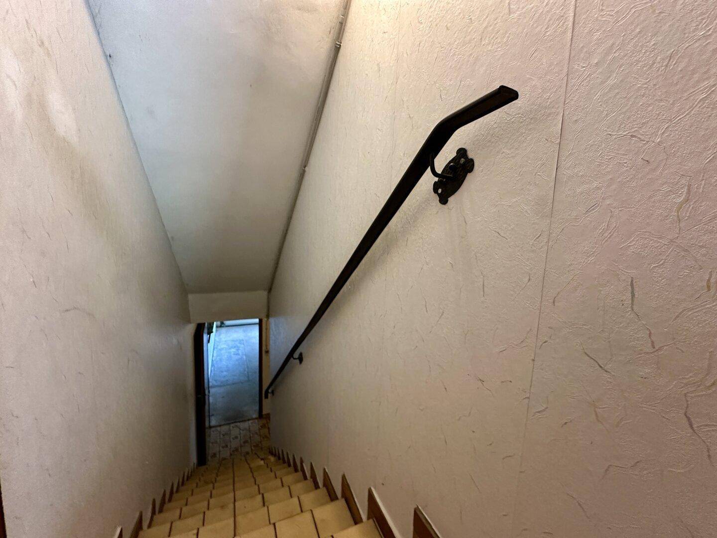 Treppenabgang in den Keller mit Handlauf und einfacher Wandgestaltung.