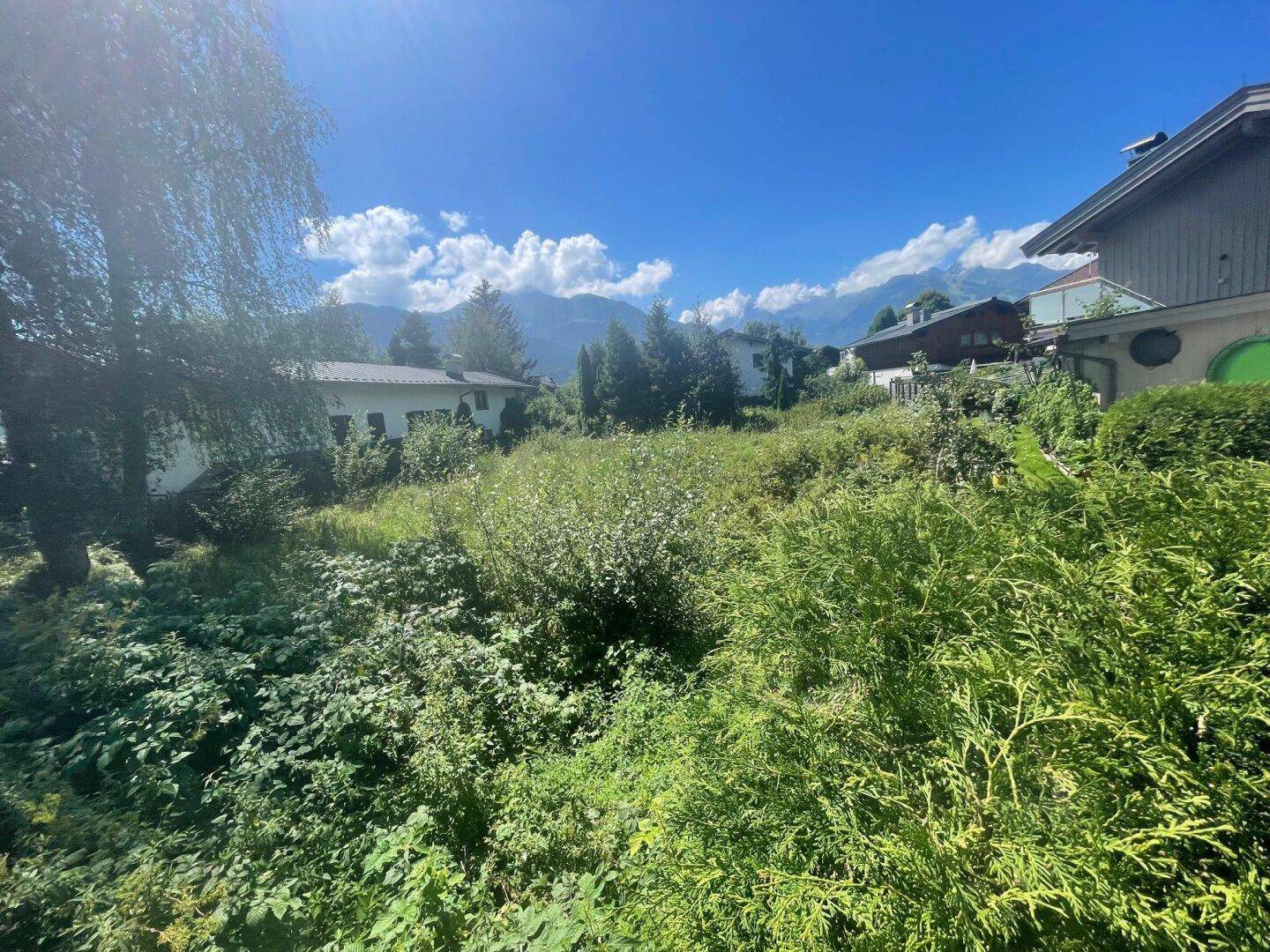 Sonniges, grünes Grundstück mit üppiger Vegetation und Häusern im Hintergrund, umgeben von Bergen.