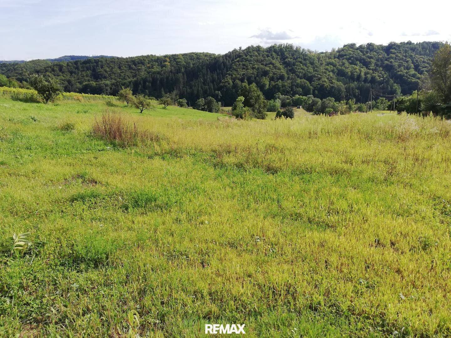 Weitläufige grüne Wiese mit vereinzelten Bäumen und bewaldeten Hügeln im Hintergrund.