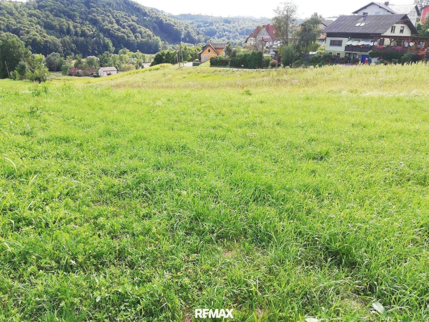 Ausgedehnte grüne Wiese mit Blick auf Wohnhäuser und sanfte Hügel in der Ferne.