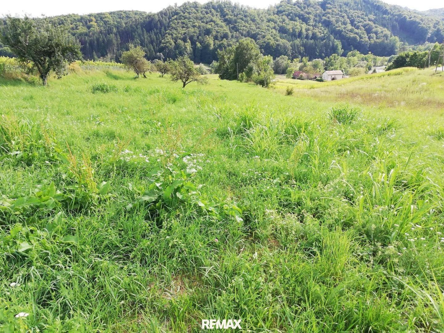 Detaillierte Ansicht einer üppigen grünen Wiese mit vereinzelten Häusern und bewaldeten Hügeln im Hintergrund.