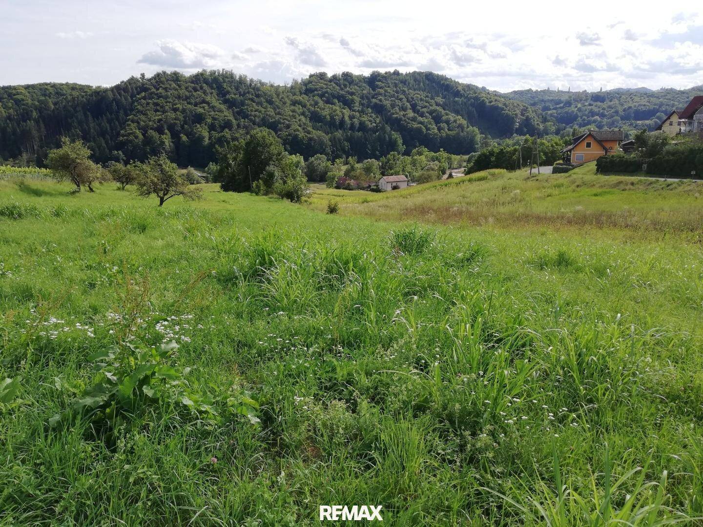 Weitläufige grüne Wiesenlandschaft mit einigen Häusern und bewaldeten Hügeln am Horizont.