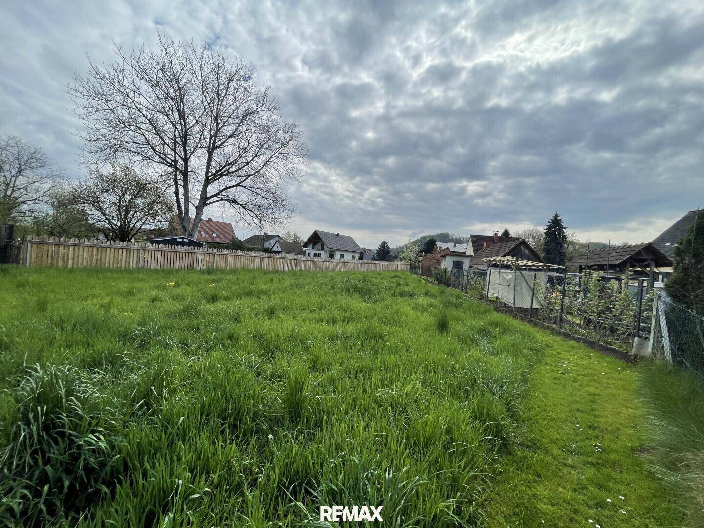 Grünes Grundstück mit hohem Gras, umgeben von einem Holzzaun und Blick auf die angrenzenden Wohnhäuser.
