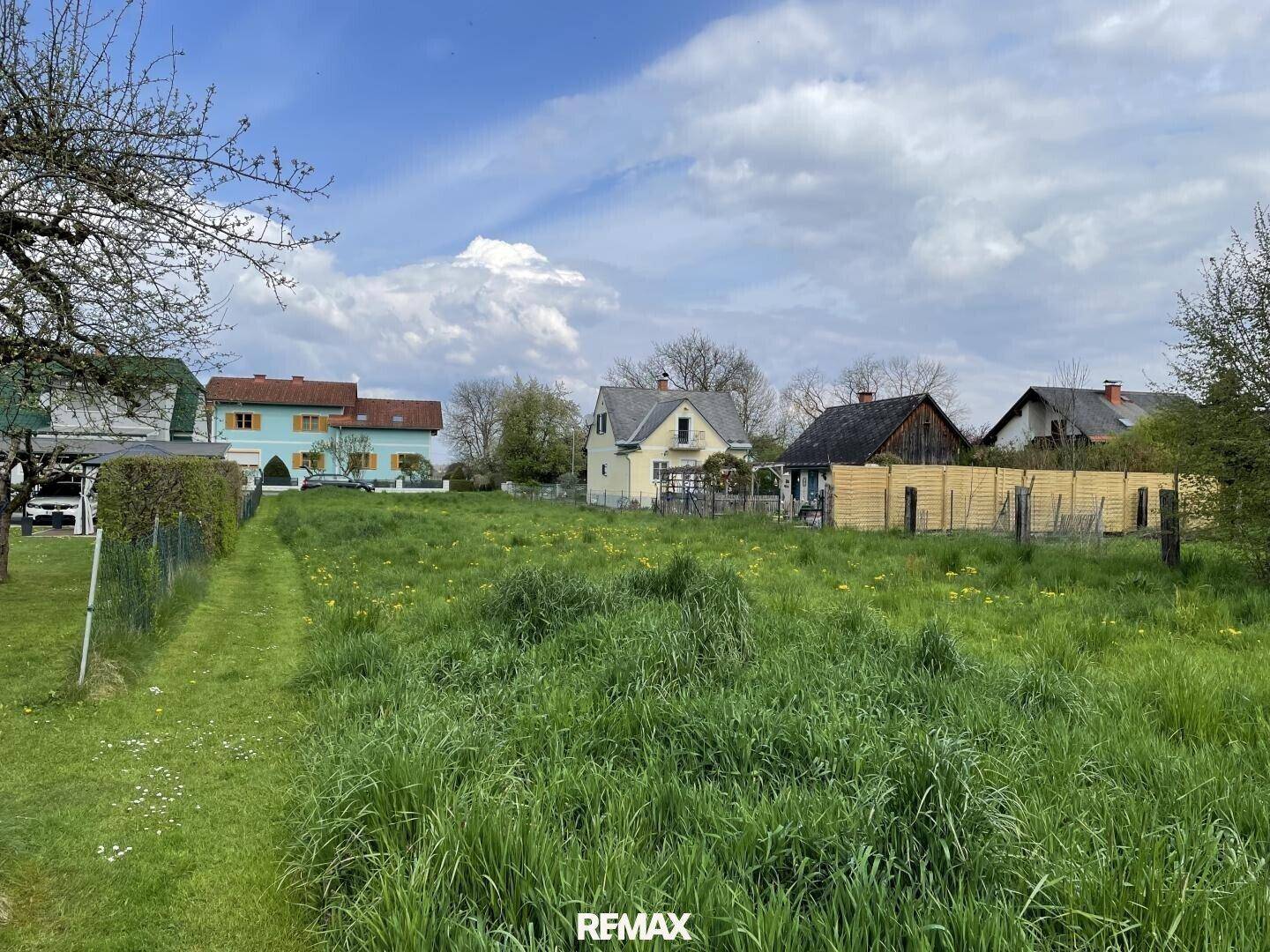 Großes, sonniges Grundstück mit hohem Gras und Blick auf die umliegenden Wohnhäuser unter blauem Himmel.