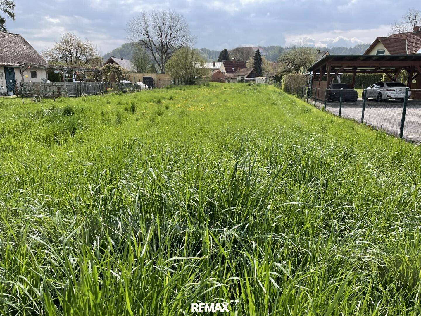 Sonniges, grünes Grundstück mit hohem Gras im Vordergrund und Blick auf die umliegende Bebauung.