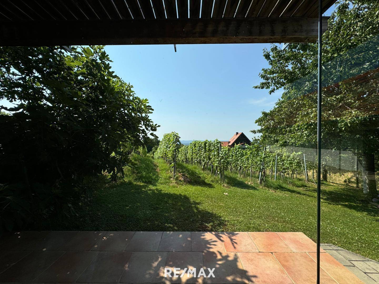 Blick vom Wintergarten(Nebengeb.) in den Weinberg