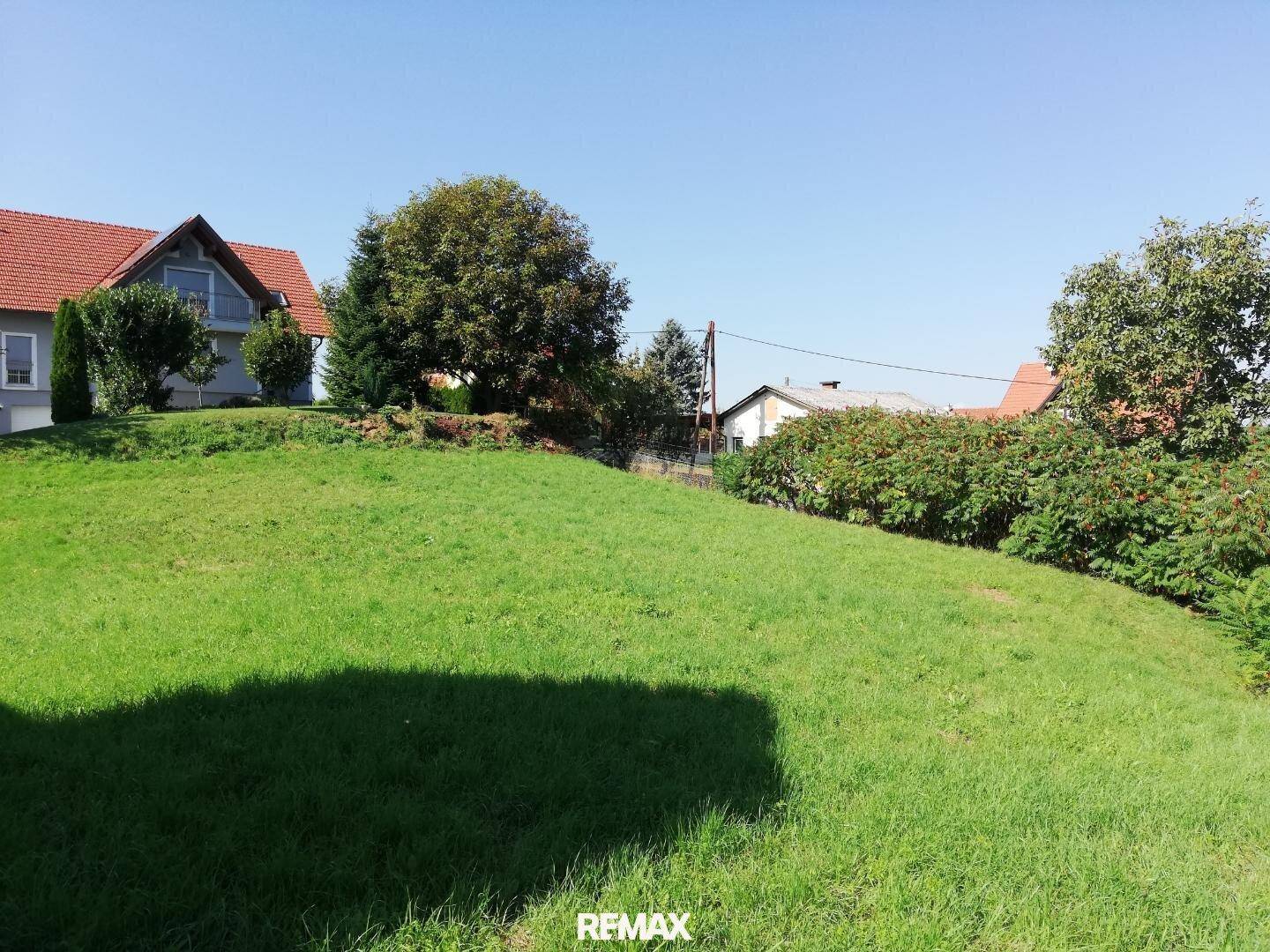 Grüne Rasenfläche eines Grundstücks mit einem Wohnhaus und weiteren Bäumen im Hintergrund.