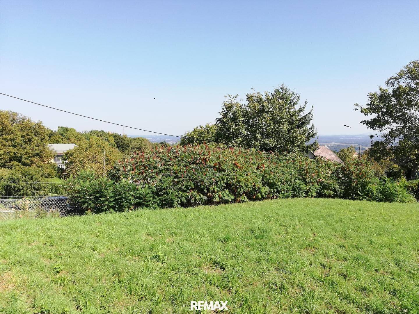 Offenes Grundstück mit grüner Wiese, umgeben von Bäumen und Sträuchern, mit Fernblick.