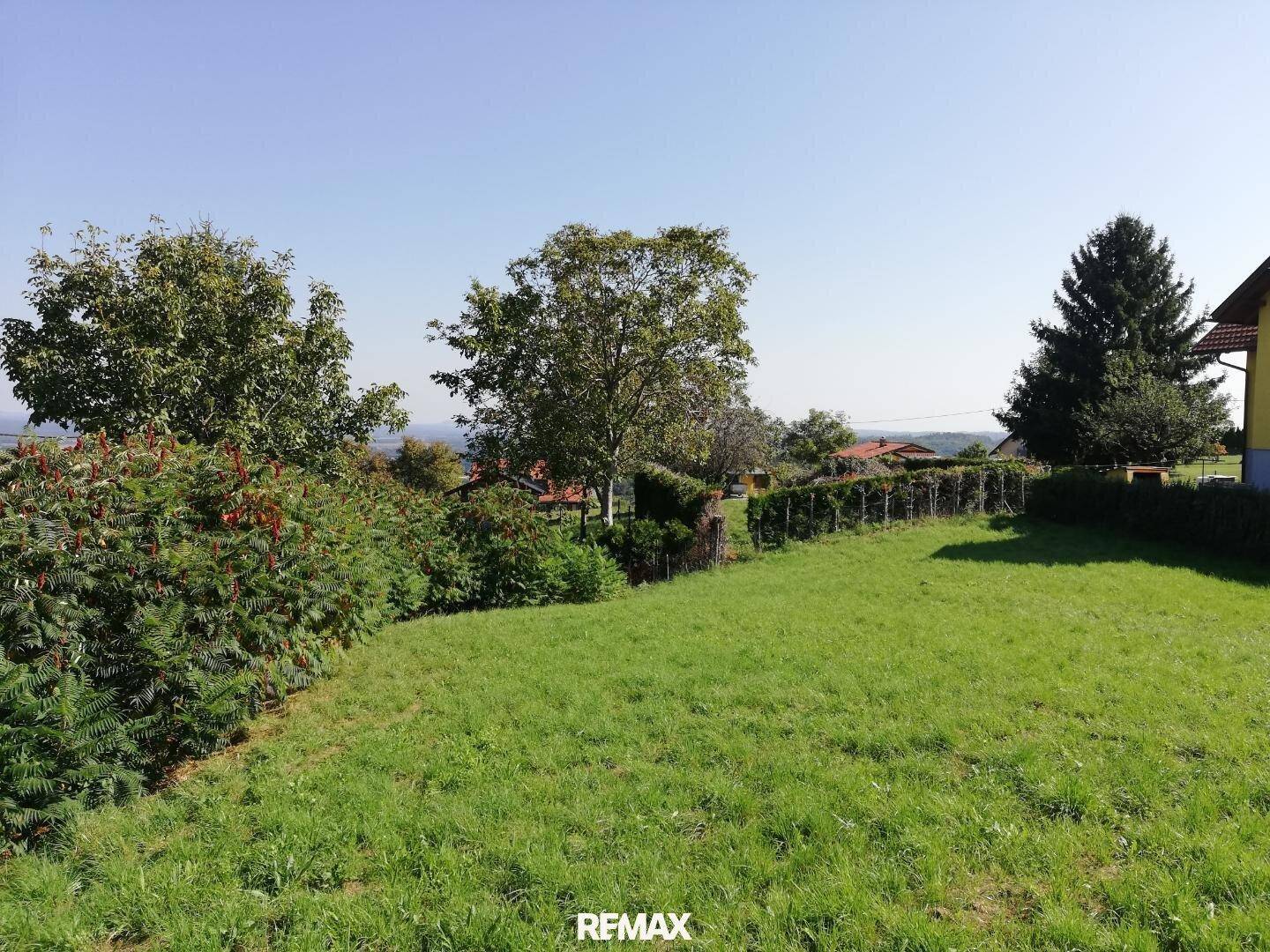 Sonniger Blick über eine grüne Wiese mit Bäumen und Häusern in der hügeligen Landschaft.