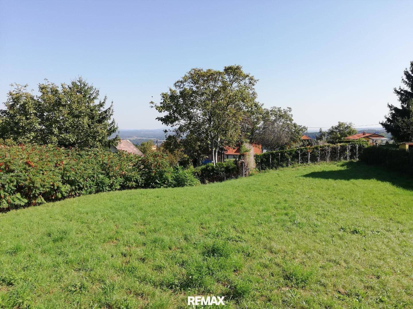 Weitläufige grüne Wiese mit Bäumen und Häusern in der Ferne unter strahlend blauem Himmel.