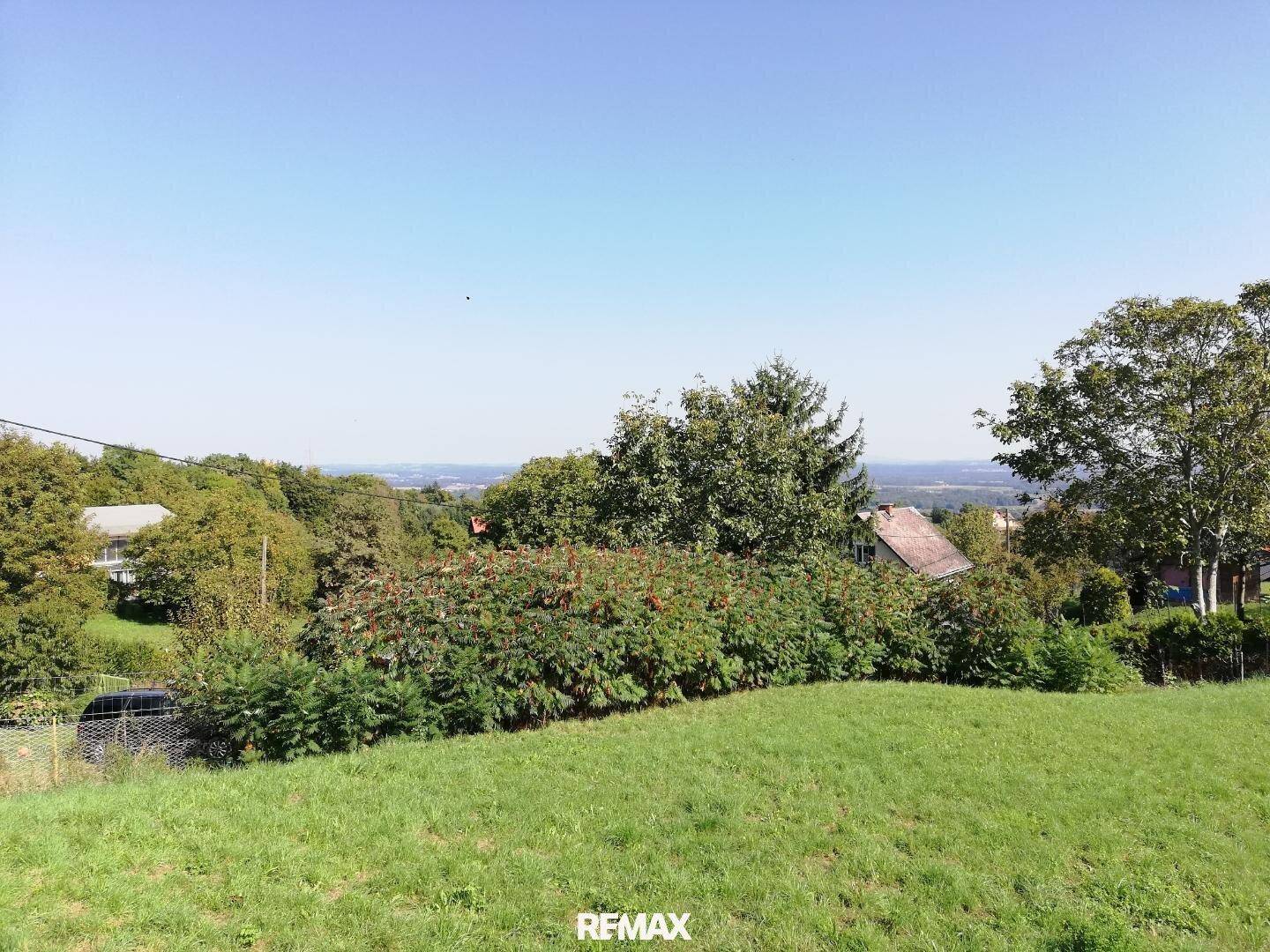 Panoramablick über eine grüne Wiese mit Bäumen und Häusern in der Ferne unter blauem Himmel.