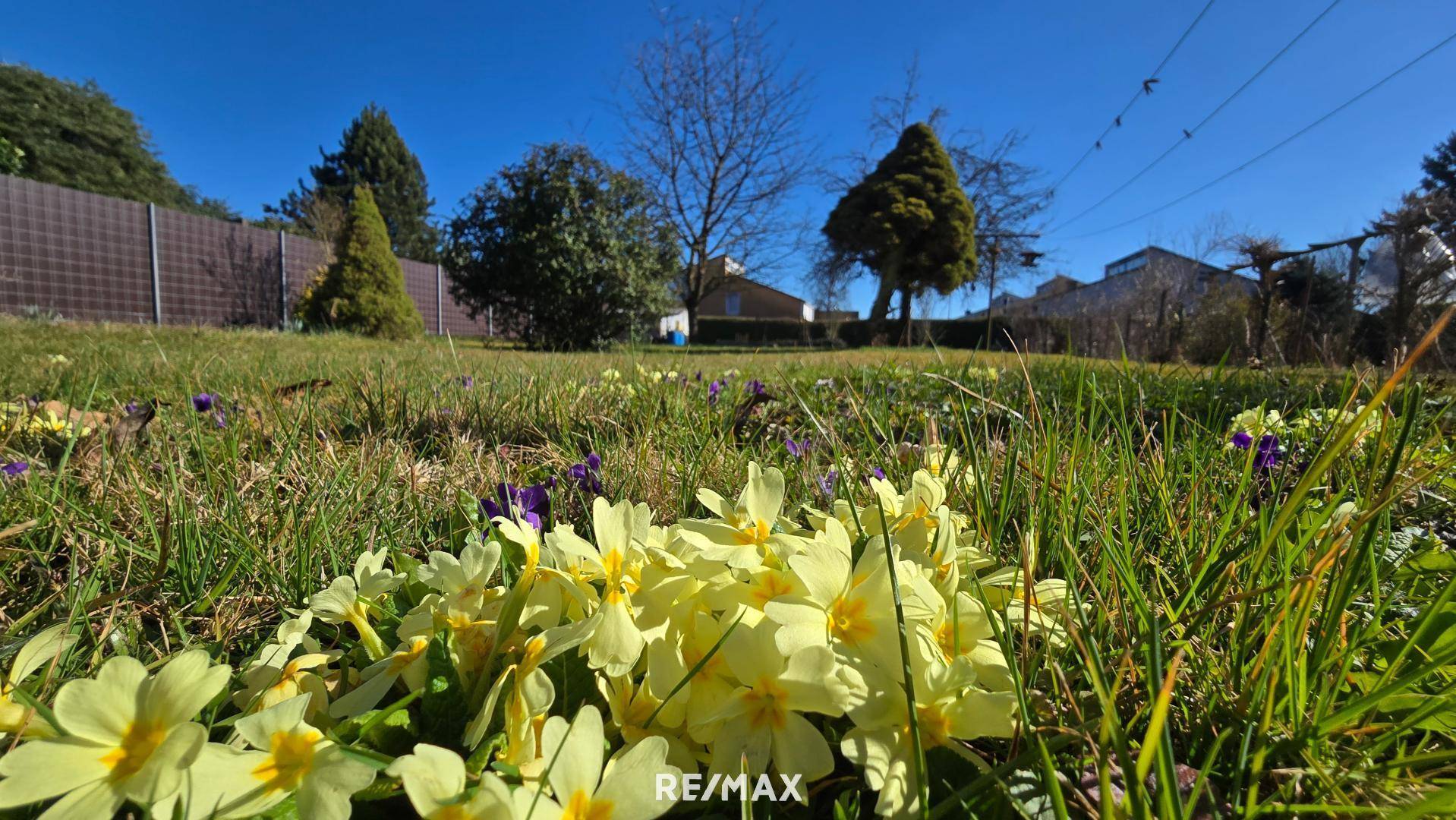 Frühling