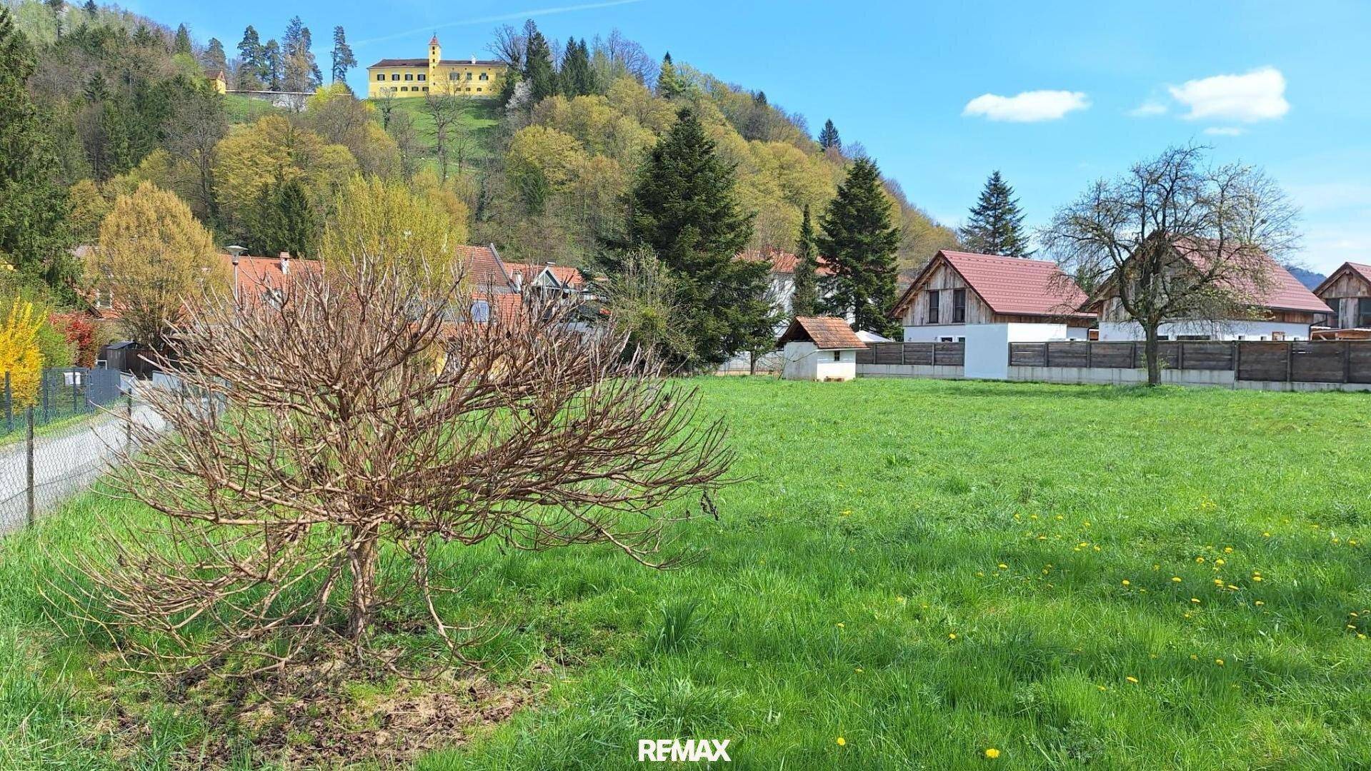 Grünfläche mit kahlem Strauch im Vordergrund und Blick auf Häuser und eine Anhöhe mit Gebäude.
