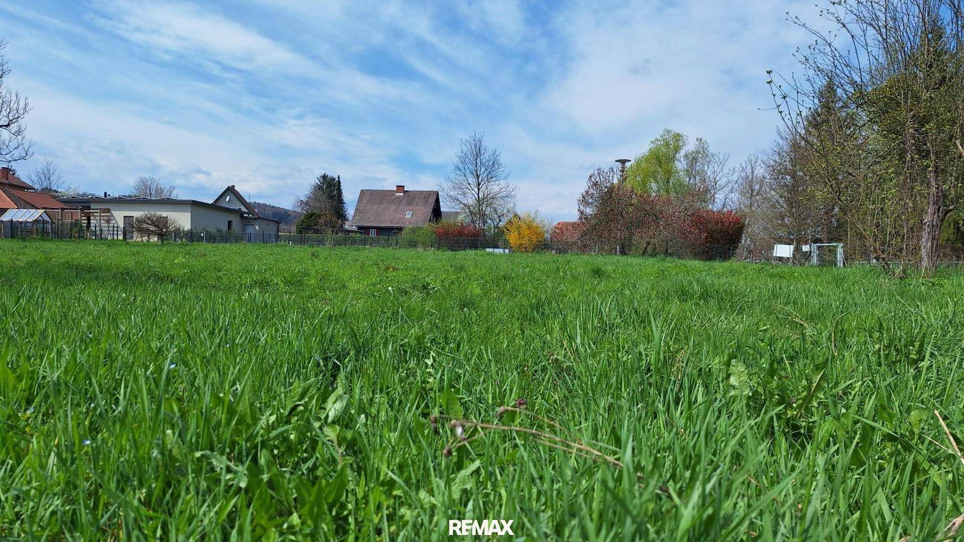 Weitläufige grüne Wiese mit Blick auf die umliegende Wohnbebauung und Bäume am Horizont.