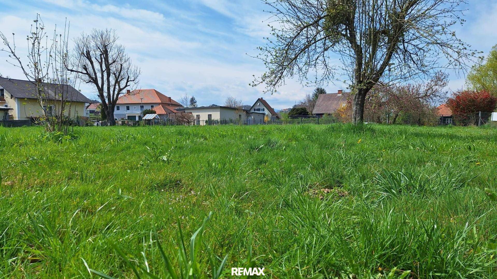 Ausgedehnte Grünfläche mit Blick auf die ländliche Bebauung und alte Bäume unter blauem Himmel.