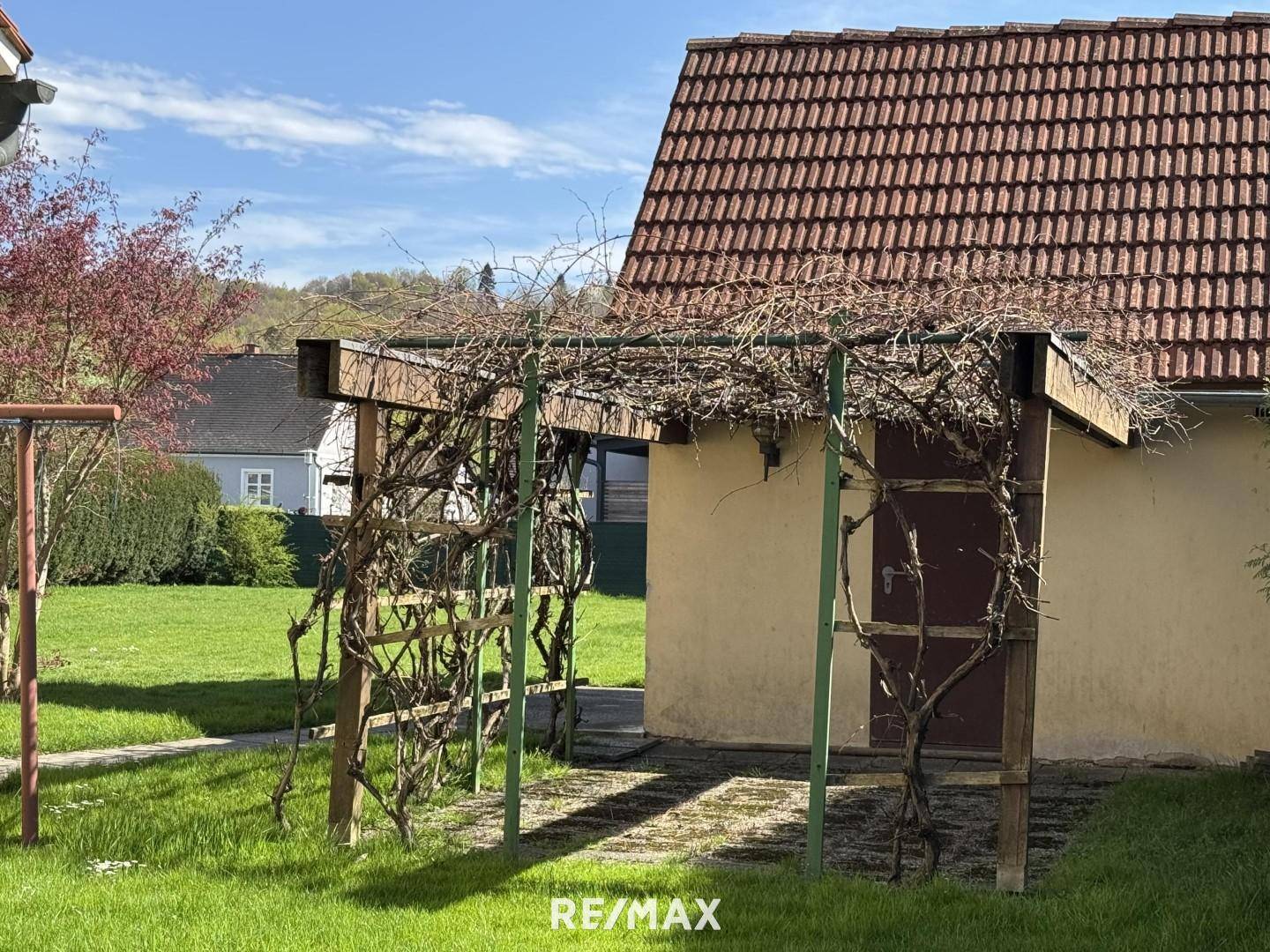 Weinlaube